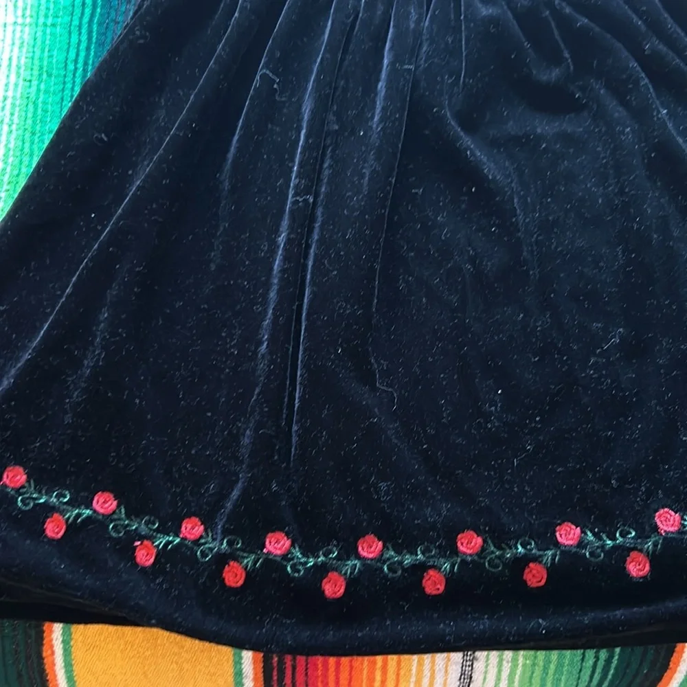 Black Velvet Red Roses Dress